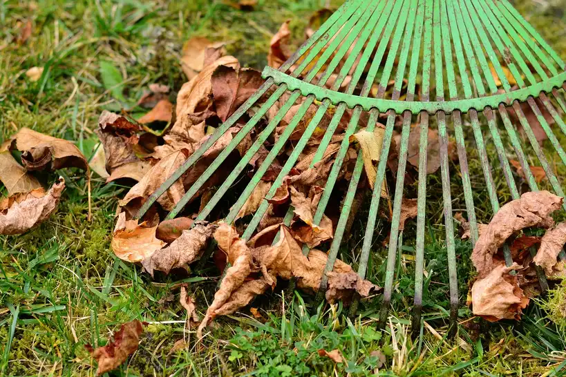 Why fall works for cool-season lawns