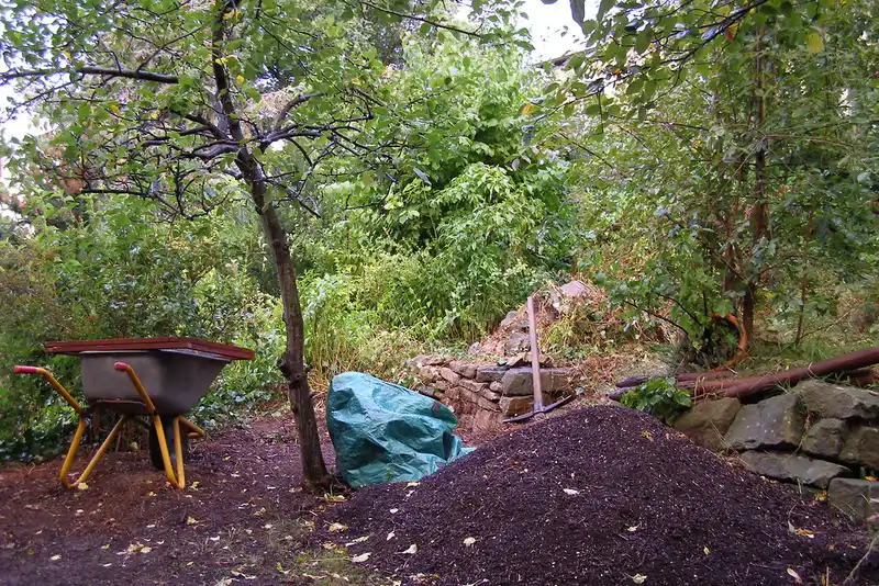 Compost pouring into a bucket beside a tape measure and trowel.