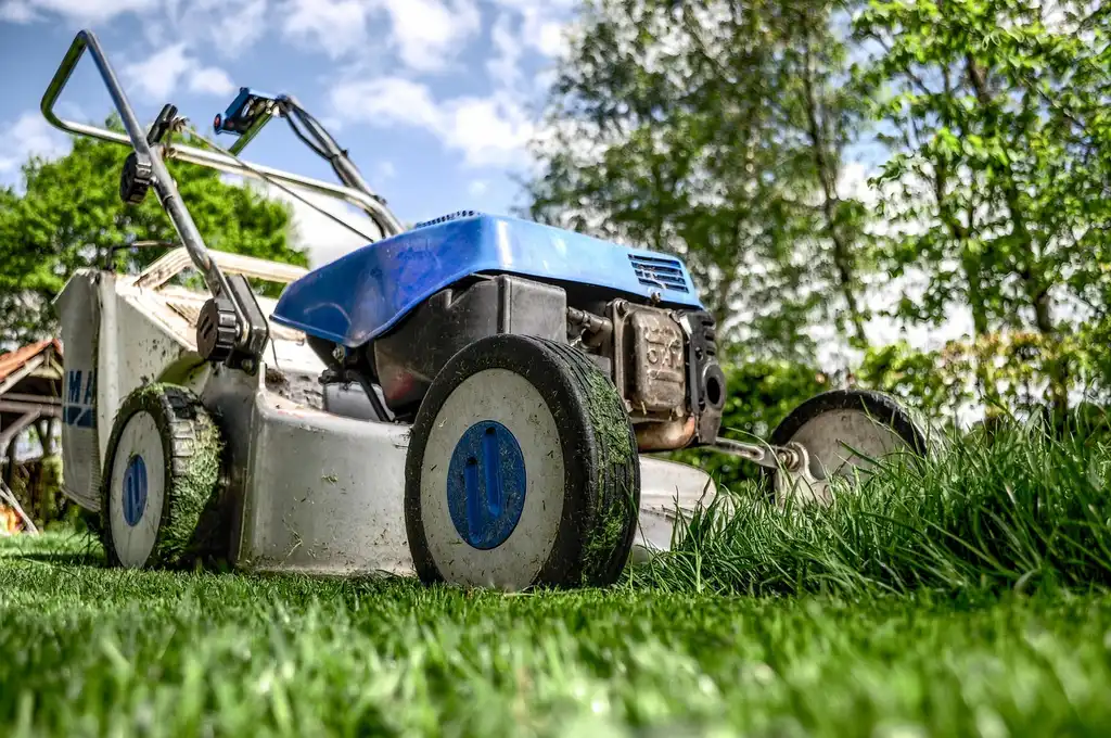 Which edging type fits your yard?