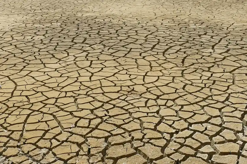 How do soil and climate change base depth?