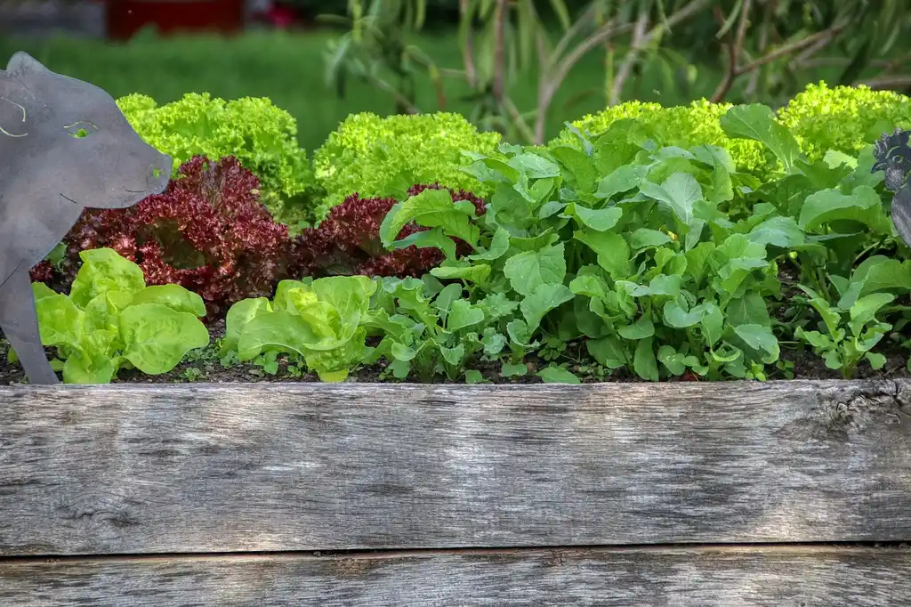 How much soil do I need for a raised bed?