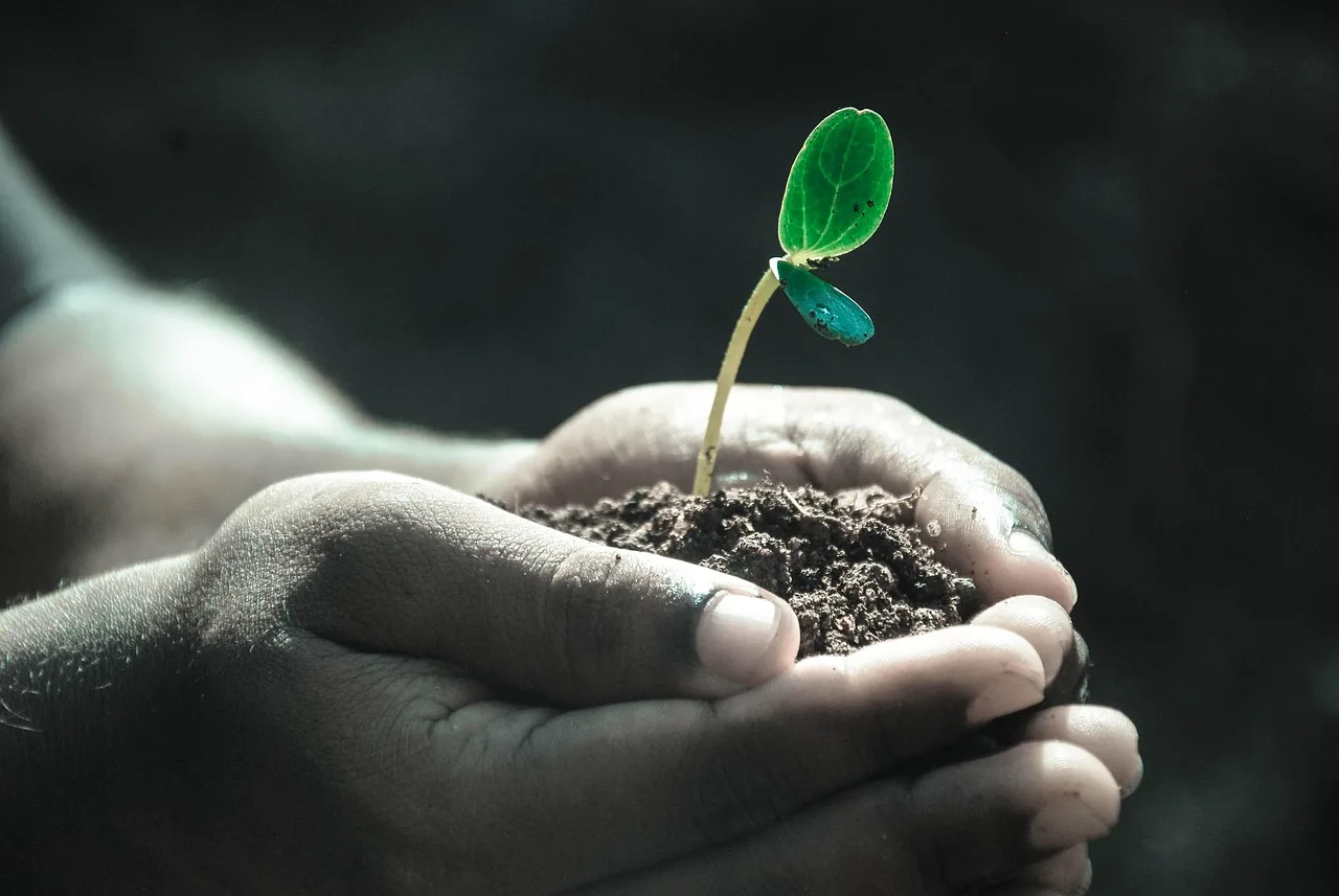 Which soil for which job?