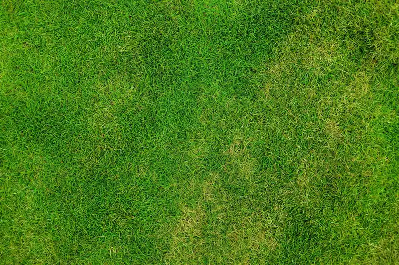 How to fix minor uneven spots